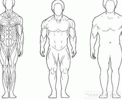 Как да се увеличи мускулите без стероиди