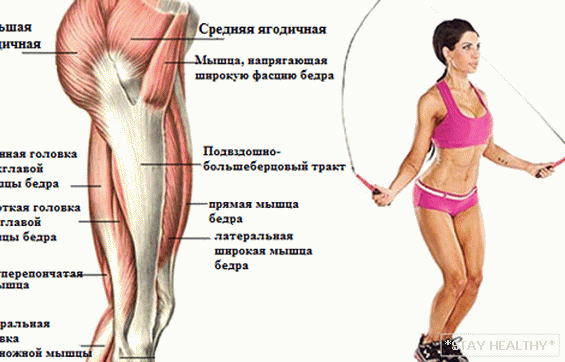 Какви мускули са обучени в скачащо въже