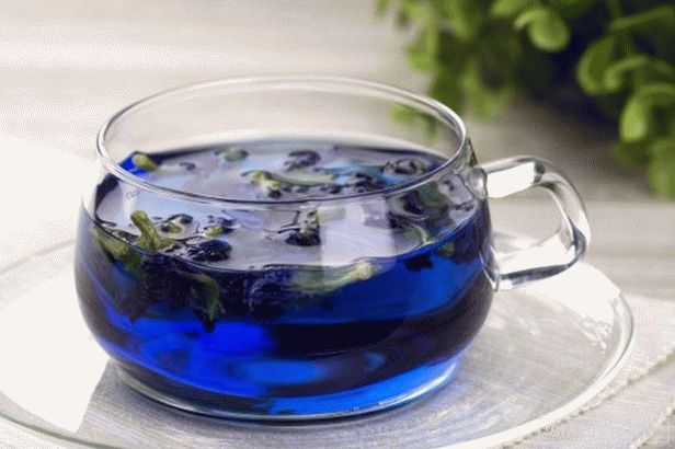 Синий чай для похудения